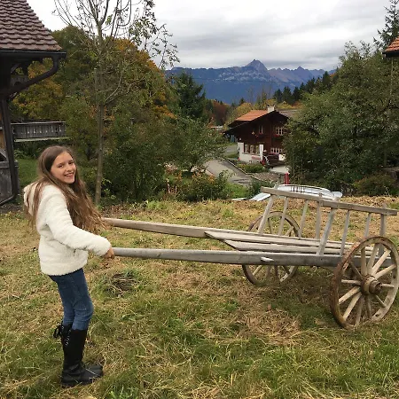 169 Year Swiss Vyntage Chalet, Interlaken